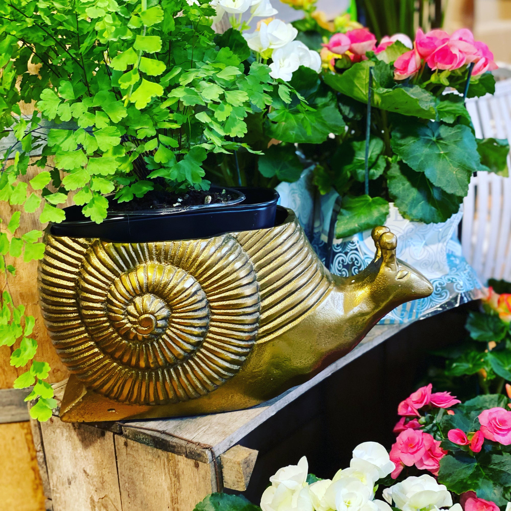 Snail planter