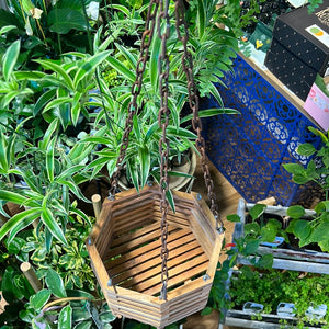 Woodland hanging basket